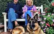 Четириноги жители на белия дом: първи кучета президент джо байдън...