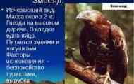 Изчезват и изчезнали животински видове