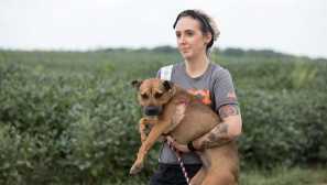 45 Кучета, запазени в канзас