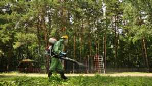 Отбележете лечението с акарицид: ползи, правила за провеждане и безопасност на метода