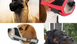 Aliexpress за кучета: препоръчваме да закупите муцуна