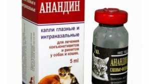 Анандин за котки: състав и форма на освобождаване, инструкции за употреба