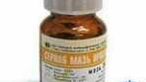 Scabies снимка симптоми и лечение