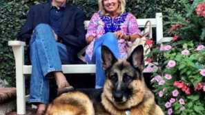 Четириноги жители на белия дом: първи кучета президент джо байдън