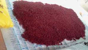 Какво представлява живата храна?