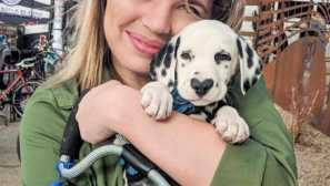 Далматин със сърце на носа