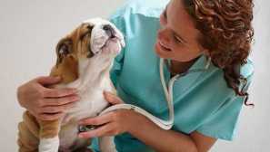 Демодекоза при животни