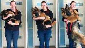 На колко години са кучетата, физиологичното развитие