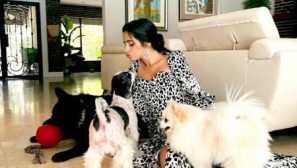 Домашни любимци на знаменитостите: кучета kylie dezhnener, camila кабел и париж хилтън