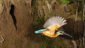 Където живеят джуджетата и защо се нарича така