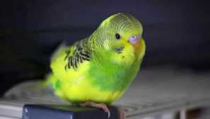 Христос воскресе!