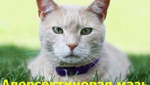 Инструкции за използване на мехлектинов мехлем за котки