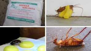 Етерични масла от бельо в апартамента