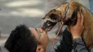 Екзотични домашни любимци - най-необичайните животни за къщата