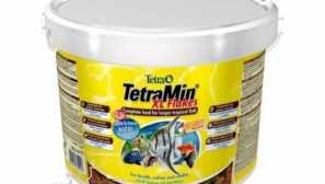 Какво балансирана храна се използва за хранене на риба начинаещ акварис?