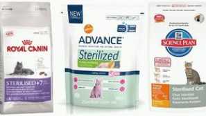 Каква храна за кастрираните котки е по-добра?