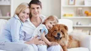 Храна grandorf за кучета и котки