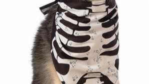 Кучешки костюм на хелоуин - фотодезии