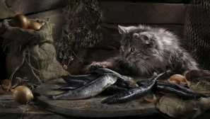 Възможно ли е котка солена риба