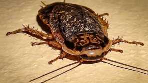 Мрамор по дело