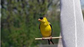 Необичайни бочуци, за които не сте знаели