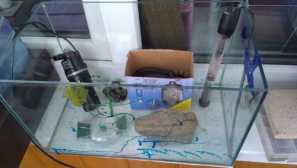 Размножаващ се аквариум или хайвер, както и методи и оборудване за хвърляне на хайвер.