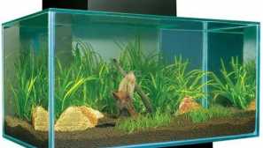 Нов аквариум от хаген
