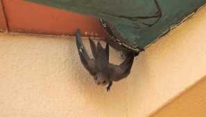 Лайфстайл reveach