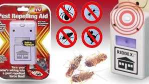 Описание и ревюта на вредителя от хлебарки