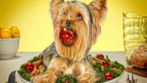 Зеленчуци за кучета