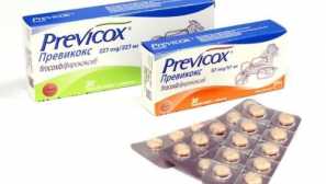 Precocus за кучета - инструкции за употреба в какви случаи