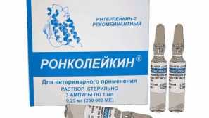 Ронколейкин за котки: инструкции за употреба и противопоказания