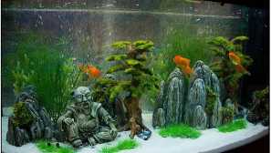 Съвети, проблеми и решения, свързани с поведението на аквариумната риба в аквариума (какво да правя, ако рибата ...)