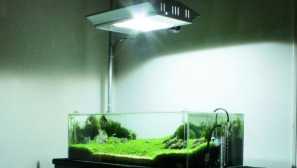 Led осветление за аквариумни растения