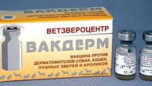 Wakderm за котки: ефекти, ревюта и инструкции за употреба