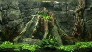 Назад фон за аквариум: снимка, видео, подробно описание.