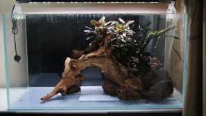 Стартирайте естествения аквариум от тип остров