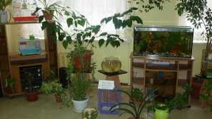 Живи ъгли на природата за деца от различни групи - животни